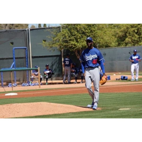 Yadier Alvarez Signed Autographed ROMLB Baseball Full Sig Los Angeles Dodgers MLB