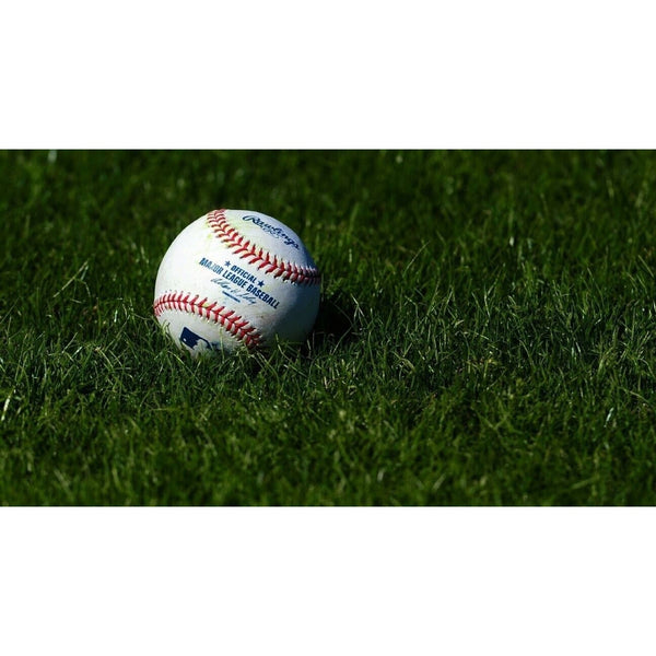 Game Used Rawlings Official Major League Baseball (One) From Yankee Stadium