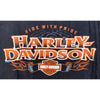 Harley Davidson St. Johns Newfoundland Oldest City XL No Sz. Tag 22x29 Biker T