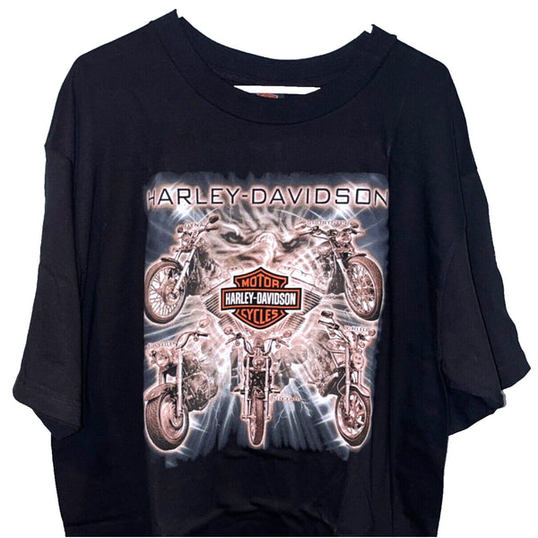 Harley Davidson Wisconsin Diverse Power Bald Eagle USA 2XL Rare Biker T Shirt