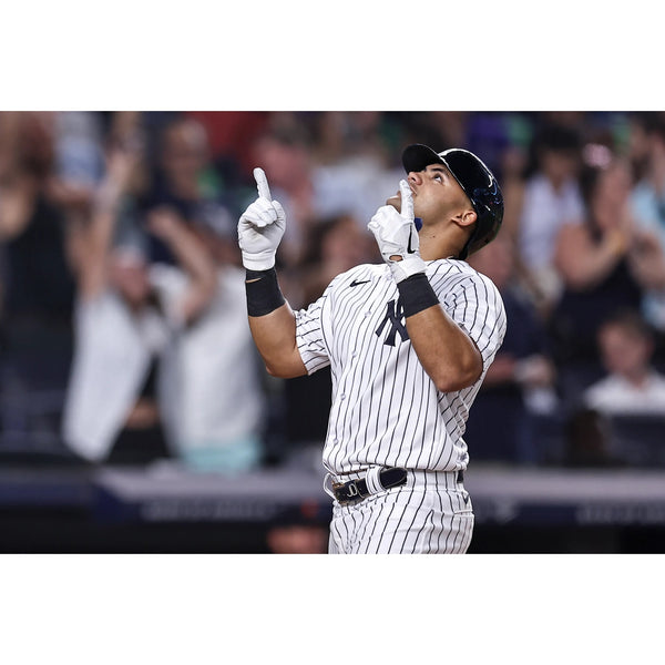 Jasson Dominguez “The Martian” New York Yankees Autographed 11" x 14" Photo MLB