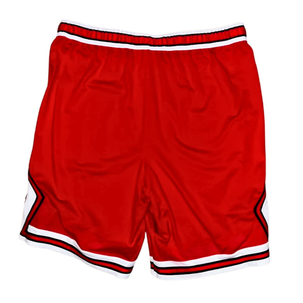 Chicago Bulls NBA Player Issued Nike Swingman Shorts Icon Edition 2XL +2 46