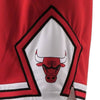 Chicago Bulls NBA Player Issued Nike Swingman Shorts Icon Edition 2XL +2 46