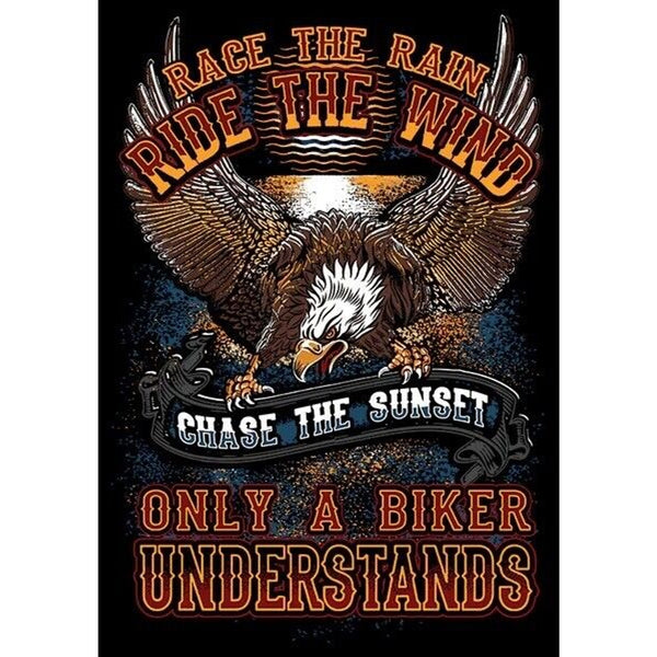 Race The Rain, Ride The Wind, Chase The Sunset, Only A Biker Understands 4XL T