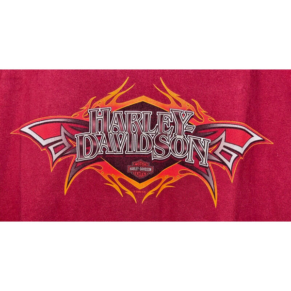 Harley Davidson Richmond Virginia XL No Tag 22x29 Hanes Beefy-T Biker Tee
