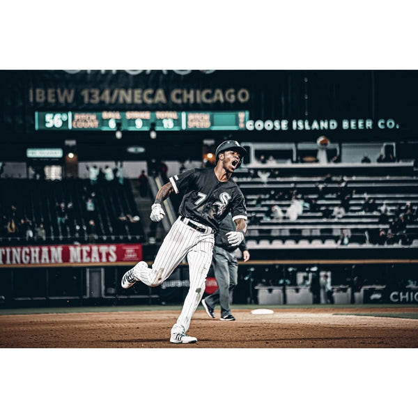Tim Anderson Signed Auto Autograph ROMLB Baseball Miami Marlins White Sox