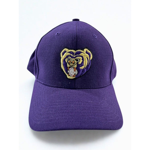 Newark Bears Rare Team Issued Richardson 512 Fitted Hat 7 3/8 Purple Baseball