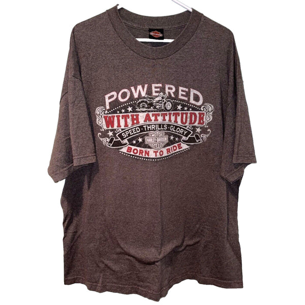 Harley Davidson Powered With Attitude Born To Ride XL No Sz. Tag 22x29 Biker T