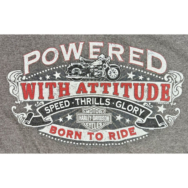 Harley Davidson Powered With Attitude Born To Ride XL No Sz. Tag 22x29 Biker T