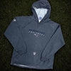 New England Patriots Hoodie M Gray Bill Belichick Y2K Pullover Equipment Reebok