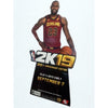 LeBron James NBA 2K19 20th Anniversary Promo Standee Cardboard Display 80” Rare