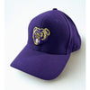 Newark Bears Rare Team Issued Richardson 512 Fitted Hat 7 3/8 Purple Baseball