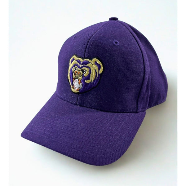 Newark Bears Rare Team Issued Richardson 512 Fitted Hat 7 3/8 Purple Baseball