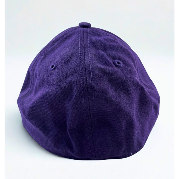 Newark Bears Rare Team Issued Richardson 512 Fitted Hat 7 3/8 Purple Baseball