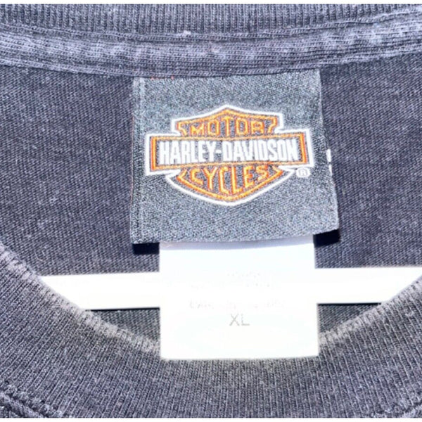 Harley Davidson Follow No One Kokomo, Indiana Sexy XL Rare Hanes Beefy-T Biker T