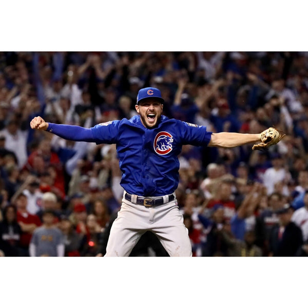 Kris Bryant Chicago Cubs Rockies Signed OMLB Baseball Side Panel NL MVP WS Champ