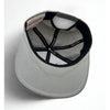 Billionaire Boys Club Mitchell & Ness Snapback Hat Gray Wool Script Logo BBC