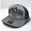 New York Mets 2015 MLB NL East Division Champions Postseason Snapback Hat '47