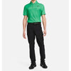 Nike Dri-FIT ADV Tiger Woods Men's Golf Polo 2023 Stadium Green XL DR5327-324