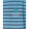 Peter Millar Summer Comfort Troon North Polo Shirt Large Blue Stripe Golf