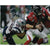 New England Patriots Trey Flowers Signed Super Bowl 8x10 Photo JSA Autograph