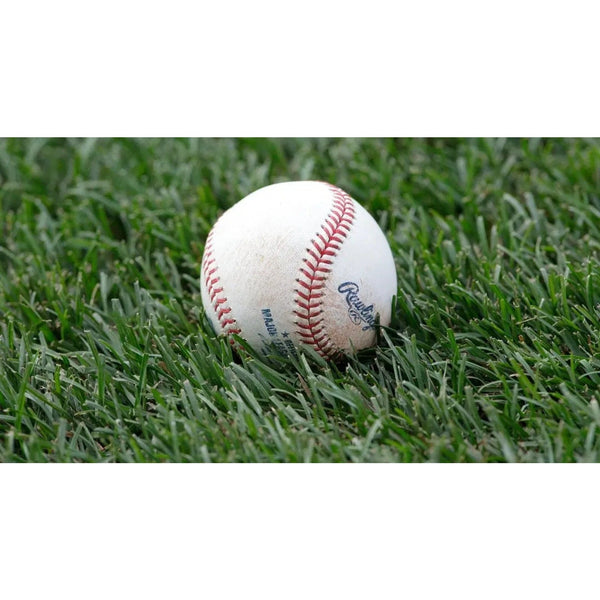 Game Used Rawlings Official Major League Baseball (One) From Yankee Stadium