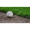 Game Used Rawlings Official Major League Baseball (One) From Yankee Stadium
