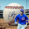 Kris Bryant Signed OMLB Baseball Sweet Spot Chicago Cubs NL MVP WS Champ