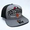 New York Mets 2015 MLB NL East Division Champions Postseason Snapback Hat '47