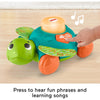 Fisher-Price Linkimals Sit-to-Crawl Sea Turtle Musical Learning Toy NIB 9M+