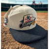 New York Yankees 1996 AL Champs World Series Hat New Era USA Vintage NWT OSFA