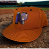 Newark Bears Team Issued New Era Diamond Collection 59FIFTY Hat 7 1/4 Rare