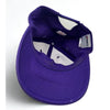 Minnesota Vikings Sports Specialties Vintage Snapback Hat Purple NFL Wool Cap US