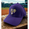 Newark Bears Rare Team Issued Richardson 512 Fitted Hat 7 3/8 Purple Baseball