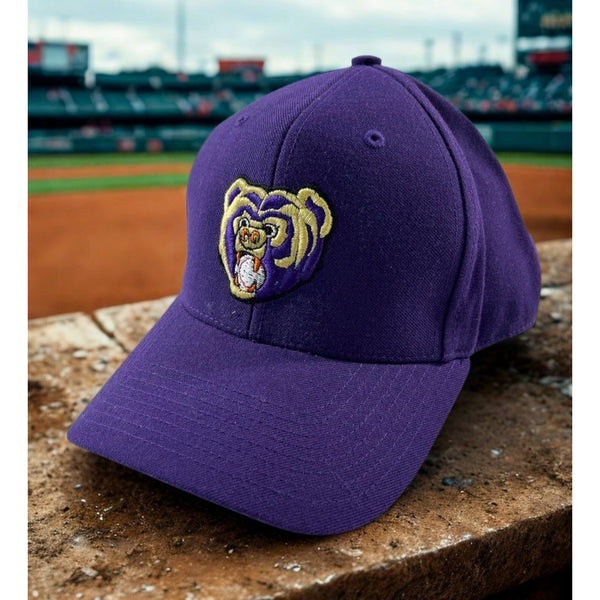 Newark Bears Rare Team Issued Richardson 512 Fitted Hat 7 3/8 Purple Baseball