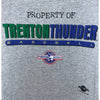 Trenton Thunder MiLB T Shirt XL New York Yankees Gray Graphic Tee Vintage 1998
