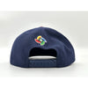 Team USA Baseball New Era 2026 World Baseball Classic Stretch Snap Hat WBC NWT