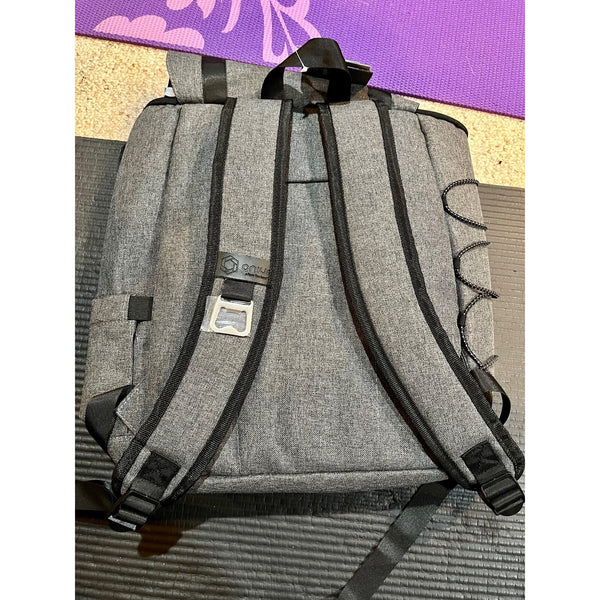 Clemson & Notre Dame Football Team Issued ACC Championship 2020 Cooler/Backpack