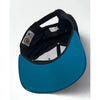 San Jose Sharks Starter Split Bar Snapback Hat Cap Vintage 90s NHL Rare Wool