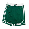 Boston Celtics NBA Player Issued Nike Swingman Shorts Icon Edition 2XL +2 46